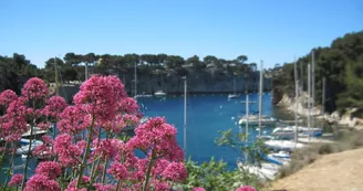Port Miou