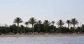 13SN000154_2_WEB.jpg 13SN000154_2_WEB.jpg
