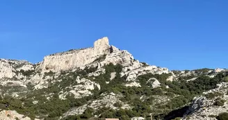 Callelongue