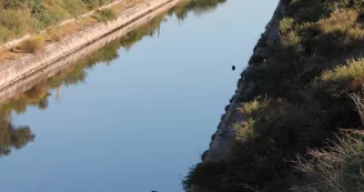 Canal du Rove
