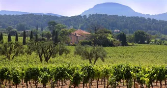 Domaine Cassis Bodin