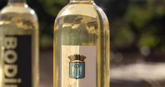 Domaine Cassis Bodin