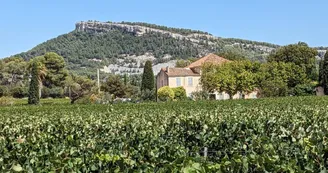 Domaine Cassis Bodin