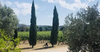 Domaine Cassis Bodin