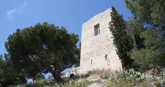 Ancien Castrum