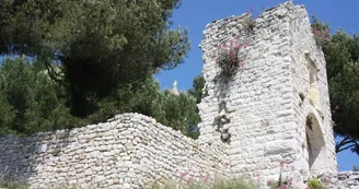 Ancien Castrum