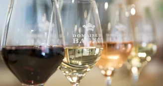 Domaine du Bagnol Domaine du Bagnol