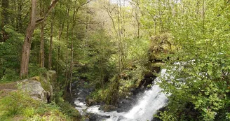Gorges de Narvau