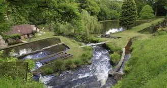 gîte du pécheur le moulin authier coussac bonneval_16