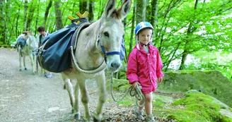 Ferme pédagogique Les Anes de Vassivière