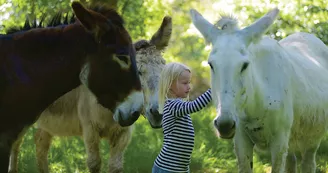 Ferme pédagogique Les Anes de Vassivière