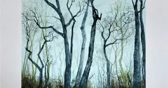 Et si les arbres faisaient...1 Et si les arbres faisaient...1