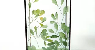 Roulie Verre_4 Roulie Verre_4