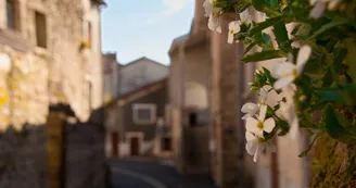 Châteauponsac©Sabine Massé Châteauponsac©Sabine Massé
