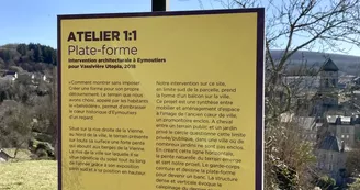 IMG_3633 IMG_3633