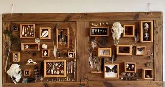 Cabinet de curiosités Cabinet de curiosités