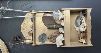 Cabinet de curiosités Cabinet de curiosités