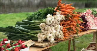 rendez-vous des producteurs rendez-vous des producteurs