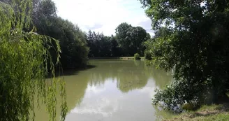 Gîte étape et séjour - Domaine des Mille Oiseaux : Le Grand Piaf Gîte étape et séjour - Domaine des Mille Oiseaux : Le Grand Piaf