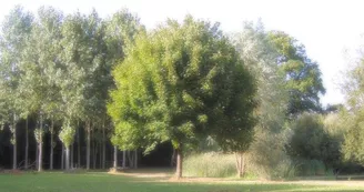 Gîte étape et séjour - Domaine des Mille Oiseaux : Le Grand Piaf Gîte étape et séjour - Domaine des Mille Oiseaux : Le Grand Piaf