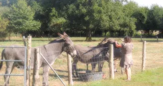 Gîte étape et séjour - Domaine des Mille Oiseaux : Le Grand Piaf Gîte étape et séjour - Domaine des Mille Oiseaux : Le Grand Piaf