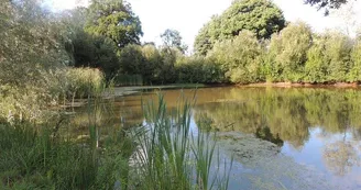 Domaine des Mille Oiseaux : Les Hirondelles Domaine des Mille Oiseaux : Les Hirondelles
