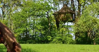 Domaine-des-vaulx-cabanes-arbres-009 Domaine-des-vaulx-cabanes-arbres-009