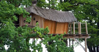 HLO53 - Cabane dans les arbres Gué de Selle HLO53 - Cabane dans les arbres Gué de Selle