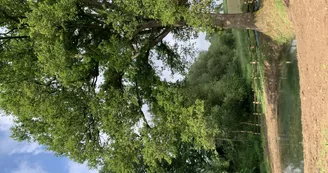 GITE INSOLITE TROGLOGITE L'ETANG D'EOLE GITE INSOLITE TROGLOGITE L'ETANG D'EOLE