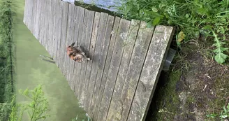 GITE INSOLITE TROGLOGITE L'ETANG D'EOLE GITE INSOLITE TROGLOGITE L'ETANG D'EOLE