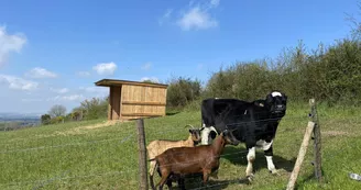Ferme Pédagogique Pat'à foin Kids Ferme Pédagogique Pat'à foin Kids