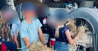 Donne à manger aux veaux Donne à manger aux veaux