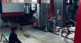 Découvre le robot de traite Découvre le robot de traite