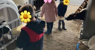 joue au petit fermier joue au petit fermier
