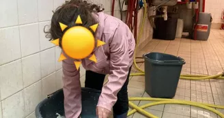 joue au petit fermier joue au petit fermier