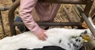 joue au petit fermier joue au petit fermier
