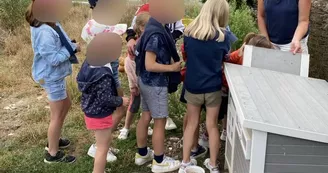 Donne à manger aux poules Donne à manger aux poules