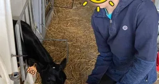 joue au petit fermier joue au petit fermier