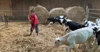 Viens jouer au petit fermier Viens jouer au petit fermier