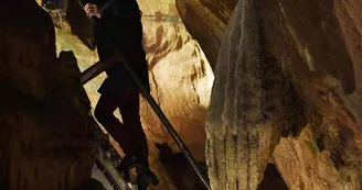 Grotte_Rochefort Grotte_Rochefort
