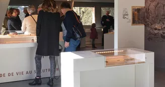 Musée Musée