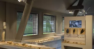 Musée Musée