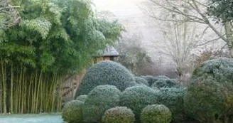 Neuf-Bois_2 Neuf-Bois_2