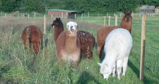Ferme Chez Poly Ferme Chez Poly