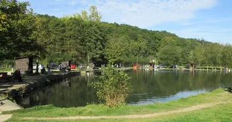 Pisciculture