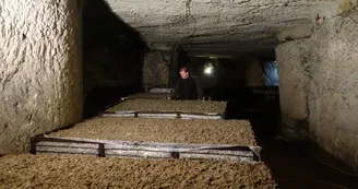 M Chretien M Chretien