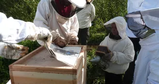 apiculture©cpievsl apiculture©cpievsl