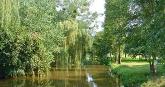 Plan d'eau Plan d'eau