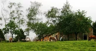 Ferme équestre du Mont Curchet Ferme équestre du Mont Curchet