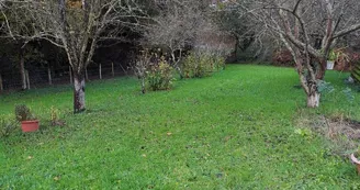 L'aire de camping L'aire de camping